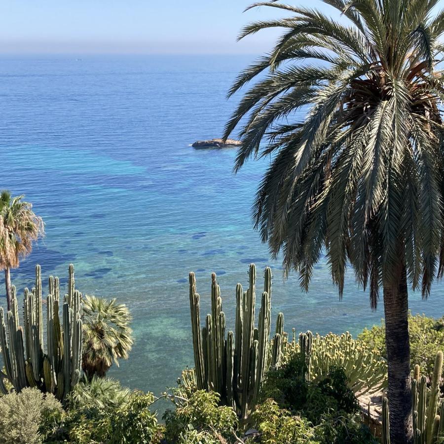 El jardin Botánico Villa LUZ Altea Exterior foto